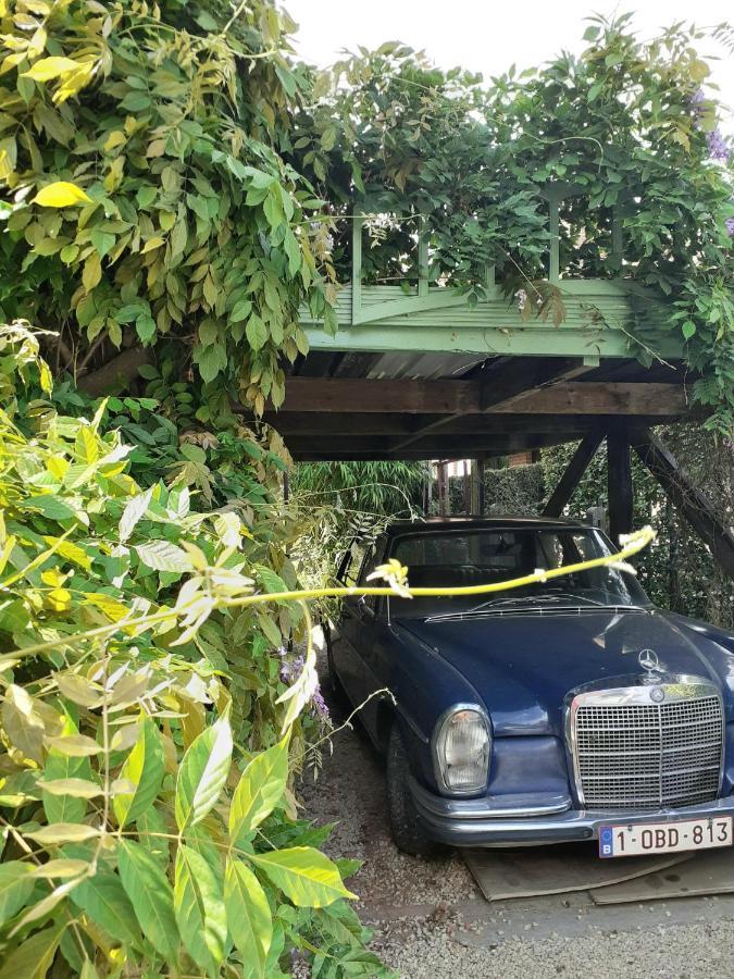 ديندرموند Villa Ritte المظهر الخارجي الصورة
