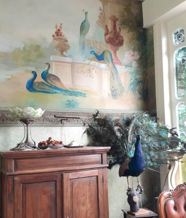 ديندرموند Villa Ritte المظهر الخارجي الصورة